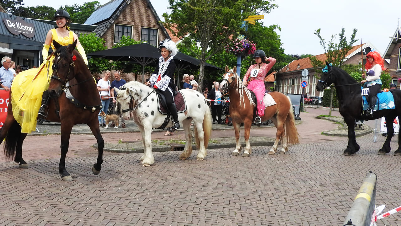 Ringsteken in Bakkum